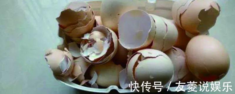 土壤|4种垃圾不会分类别担心，埋在花盆底，叶子绿得直滴油！