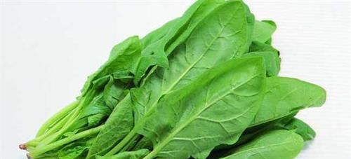 冬天不妨多吃三种食物,营养丰富、延缓衰老,爱吃就赚了!