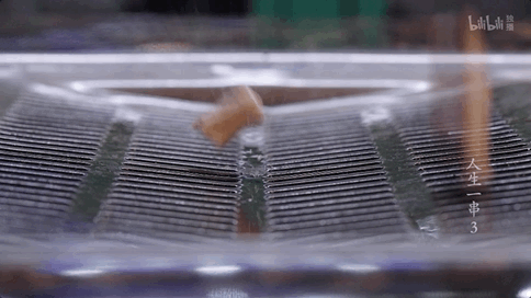 開(kāi)播9.7，B站最“俗”國(guó)綜回歸了