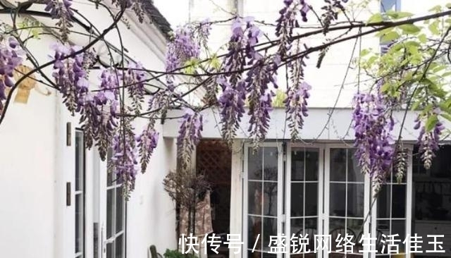 三合院|女子“爆改”破败三合院,巧变花园豪宅,父母住进来不想走,显摆
