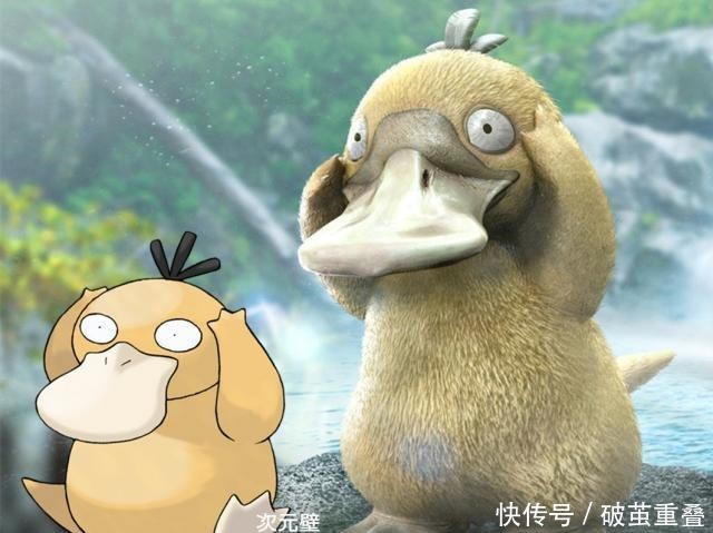 看上去|精灵宝可梦“现世版”皮卡丘“瘦身”成功，美纳斯“美成画”！