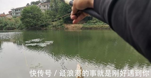 钩条|野钓别只用伊势尼!想大小通杀,还是这几种鱼钩效果更好