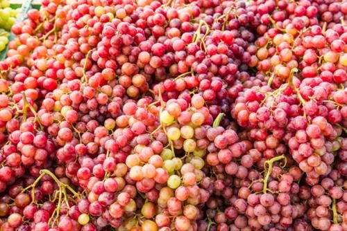 葡萄|葡萄只用清水洗？难怪洗不干净有虫卵，教你一招，连皮都能一起吃