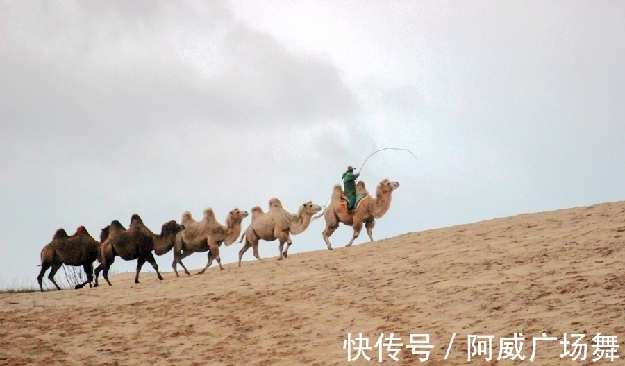 日落|中秋节在乌兰布统敖包吐后山，拍摄骆驼冲沙，遇见美丽的晚霞