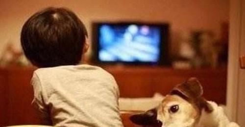 视力|三岁以内孩子看电视,影响视力是次要的,这四方面的危害才大