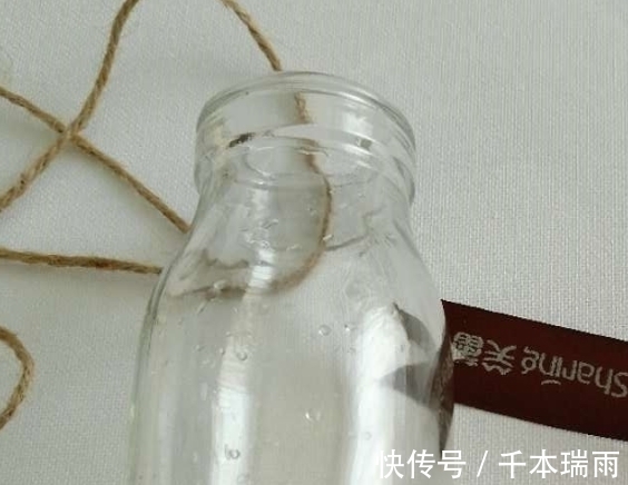 喝完的酸奶瓶不要扔，水培几棵铜钱草就是一抹风景