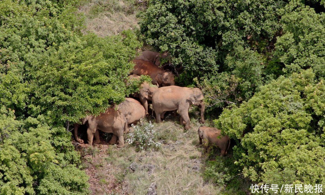 月壤|7月18日·上海要闻及抗击肺炎快报