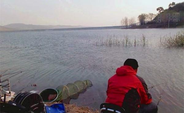 冬季钓鲫鱼，如何选择“爆护”的出钓时机，主要看这四点