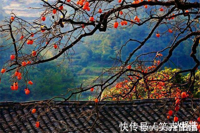 老年人|一个家庭“由盛转衰”，一般会出现3个“怪象”，平时不妨留意