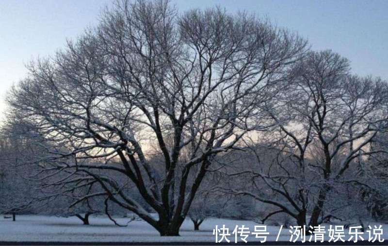 天寒白屋贫|刘长卿最经典的一首诗,即使是再过一千年,那也是无人能够超越!