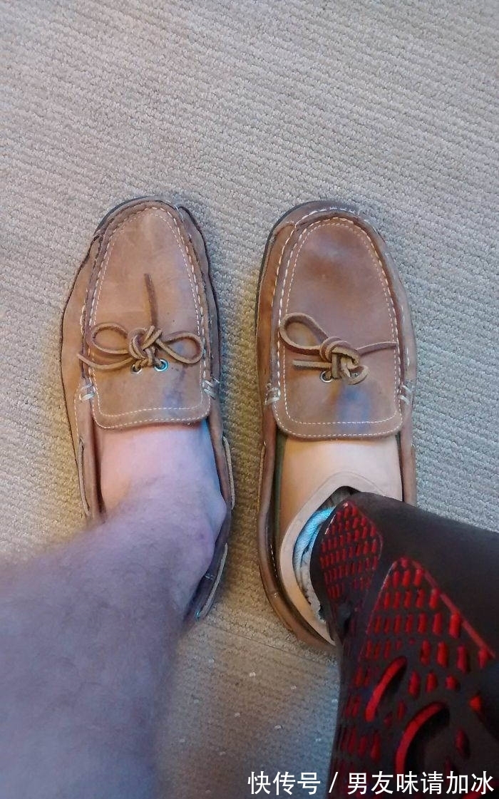 巨齿鲨#20张对比图,这将使您能够从未见过的角度看事物,第四期