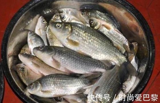 |沙雕动画,搞笑:如果一天只有1秒,上学怎么办!