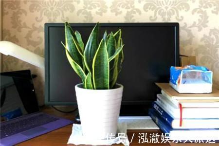 温度过高|客厅2个地方,千万别养花,不能忽视,养了也尽快搬走!