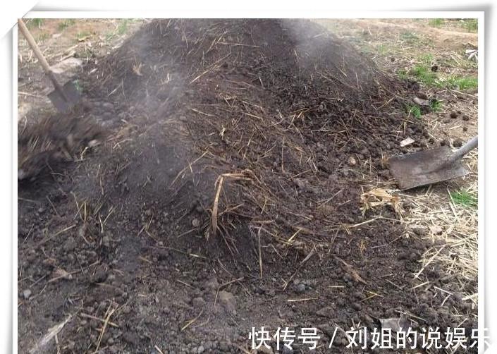 养分|养花的“旧土”别浪费,3步巧加工,又“肥的流油”,养花一级棒