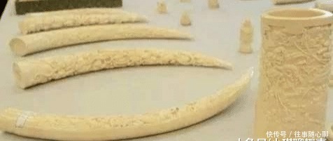 文玩|全面禁止交易象牙之后,大象皮被做成珠子了,一定要抵制这些文玩