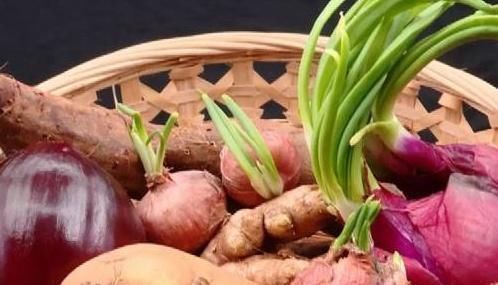 蒜辣素|常见的2种蔬菜,发芽后不仅没毒,营养价值更高了,一起来了解下