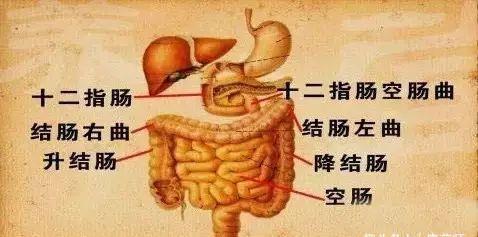 胃肠|一招抬脚功,能降百种病!每晚睡前5分钟,防病治病,延年益寿!