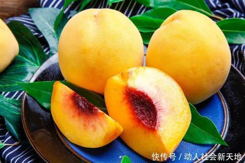 大腦|4種食物被稱為“長壽果”,延緩衰老對大腦最好,老人愛吃就對了