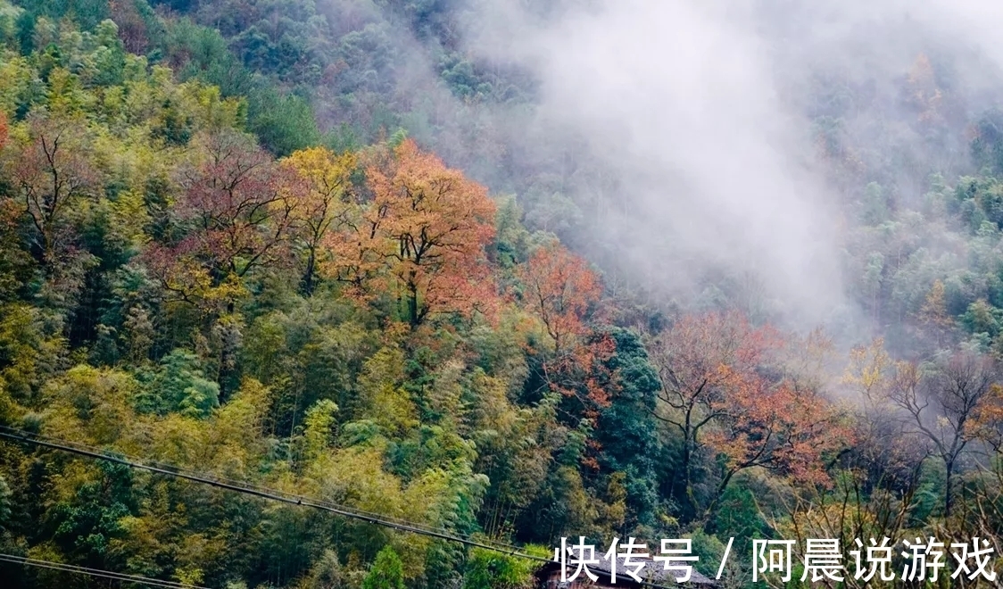 温州|秋意渐浓宜出游，山野田边觅清秋，一起邂逅温州最美秋色