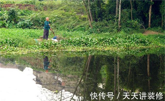 钓法|夏季刮风天钓鲫鱼，用七星漂双铅钓法，刮风也能下钩精准