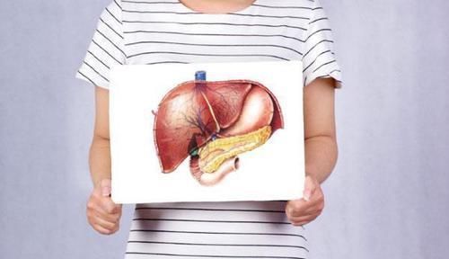 早上是养肝最佳时,三种食物搭配着吃,肝脏或会“感谢”你