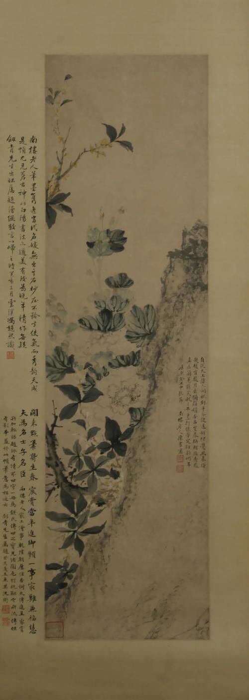 苏博将展“群芳竞秀”，呈现馆藏明清花鸟画作