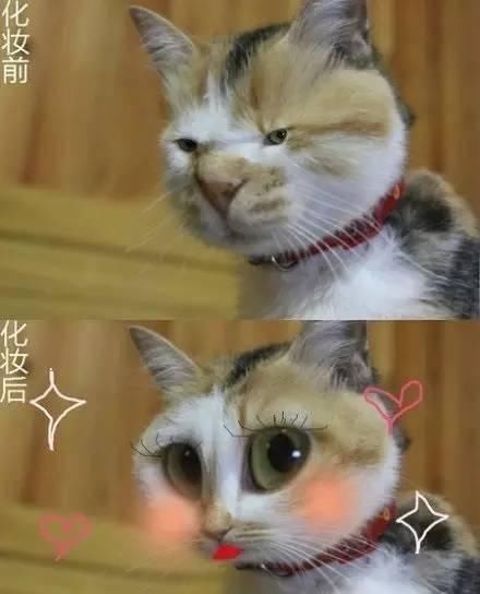 别吓我妆后18岁卸妆81岁这些女生化完妆亲妈都认不出了