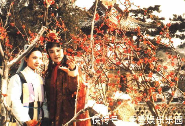 王夫人|妙玉究竟什么来历?其实贾府的人很清楚,却只能假装不知道