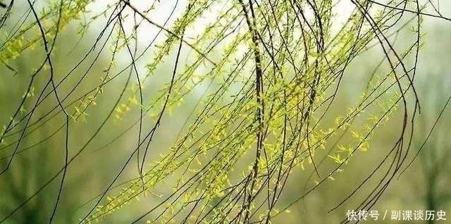 胡仔$南宋高僧志南一生只留下这一首诗,却名传千古!