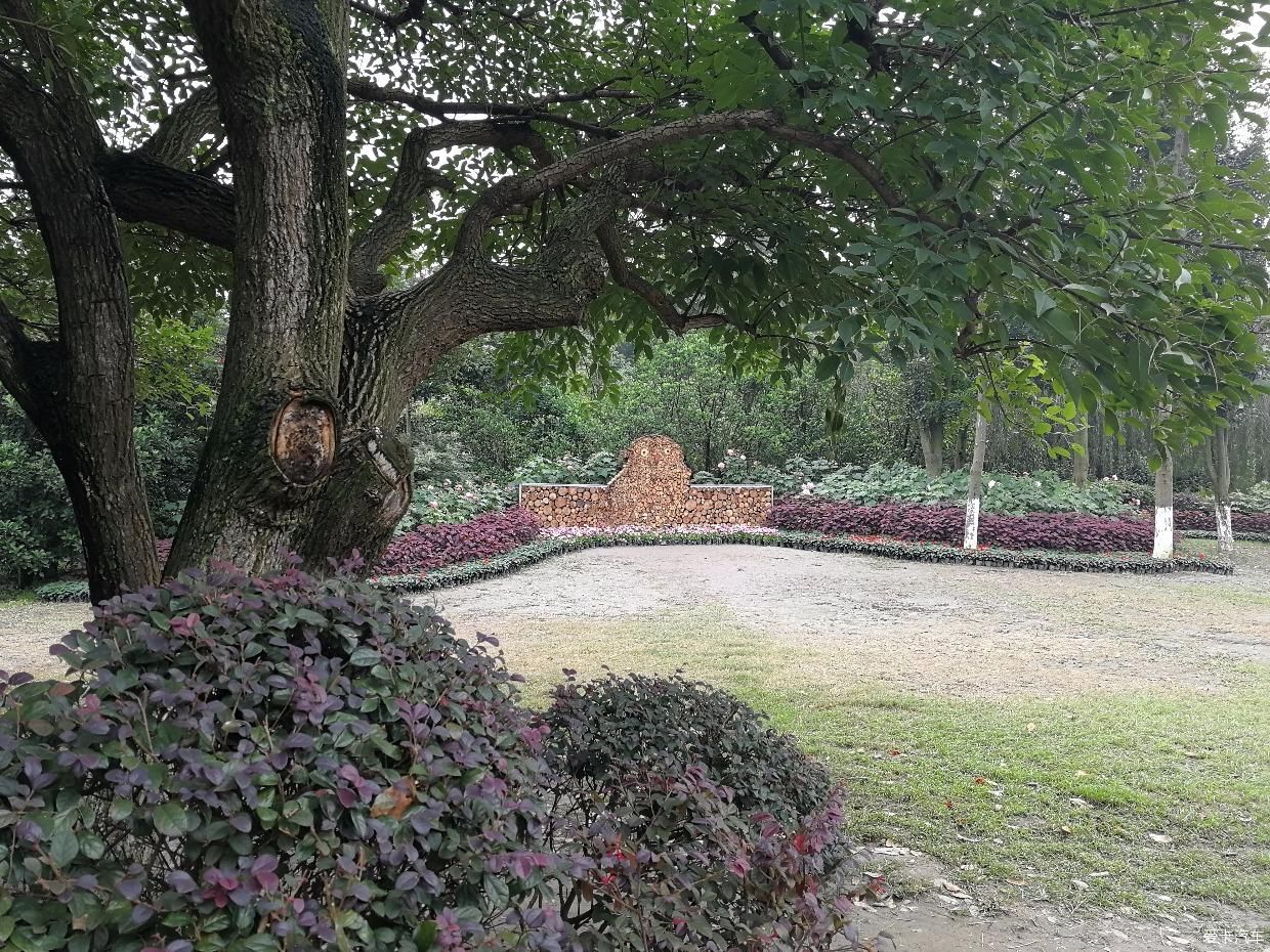 带上家人逛天然氧吧打卡成都植物园