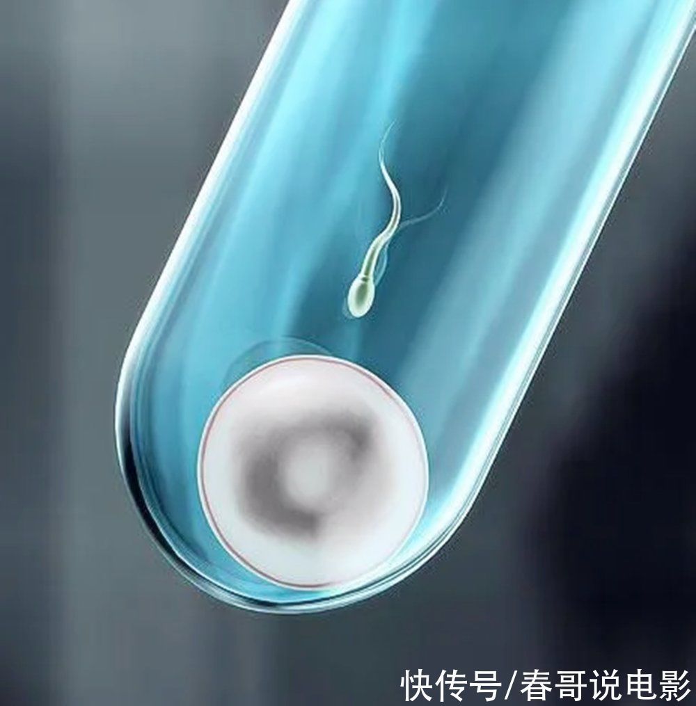 患癌率|试管婴儿有寿命、智力和健康的问题?大多是误解,只有一个是真的