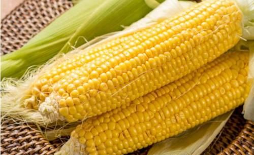 体内湿气重|体内湿气重了，百病生！这4种食物都是“排湿”能手，不妨一吃