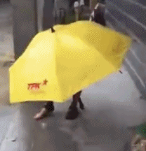 |搞笑动图:妹子,你这是相亲成功了吗?