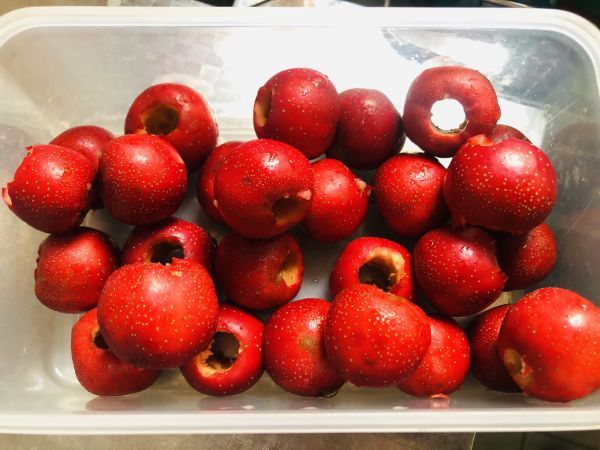 山楂|懒人福利,超简单的快手菜一根吸管和山楂的故事