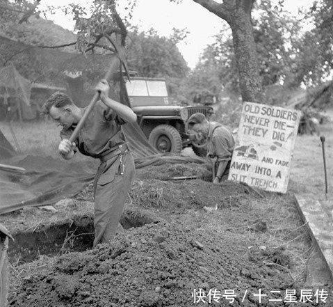 二战|二战士兵搞笑照在飞机螺旋桨上睡觉,让狗装成士兵站岗