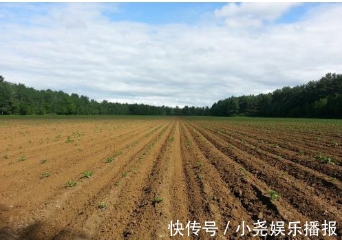 土地|农村土地下一轮30年不变，如果土地拥有者去世了，土地咋处理