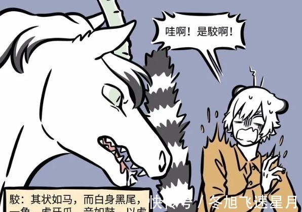 老虎|非人哉又迎来新角色,没有以人类形态登场,看造型是大士的最爱