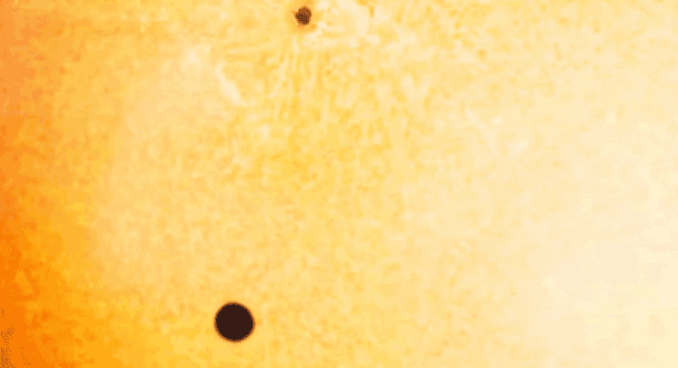 硬核科研:观星8年一事无成,回家惊闻本人已死