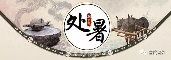 暑天|处暑——多伸懒腰解秋乏！