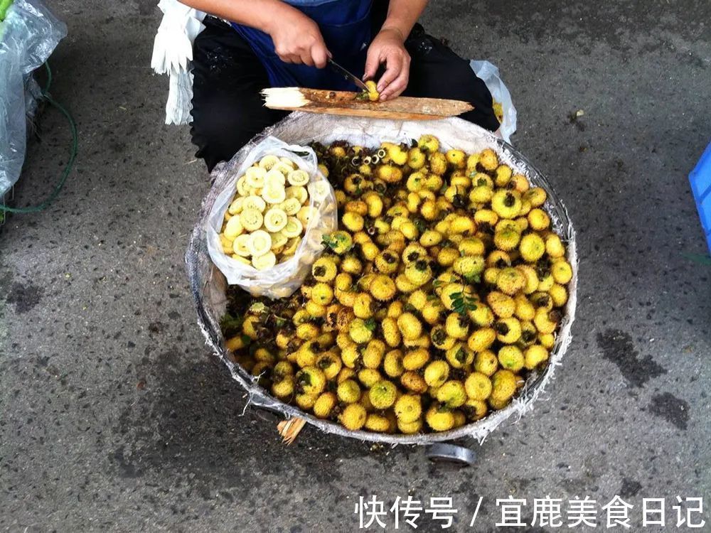 维生素之王|叫梨不是梨,连刺一起吃,被称“维生素之王”,如今大力种植