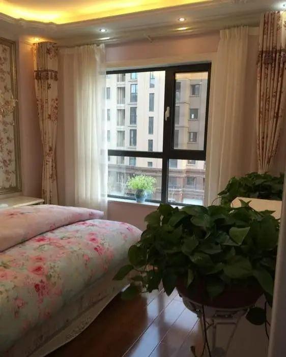 房子|历时半年,老婆50多万将房子装修成宫殿,我只是心疼我的钱!