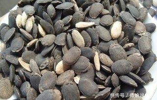 殊不知|一斤几块钱的家常菜,殊不知它浑身都是宝,你知道么?