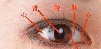 老中醫(yī)|老中醫(yī)祖?zhèn)黛钛鄞胤?每天喝點它,只需十天,眼袋去無蹤