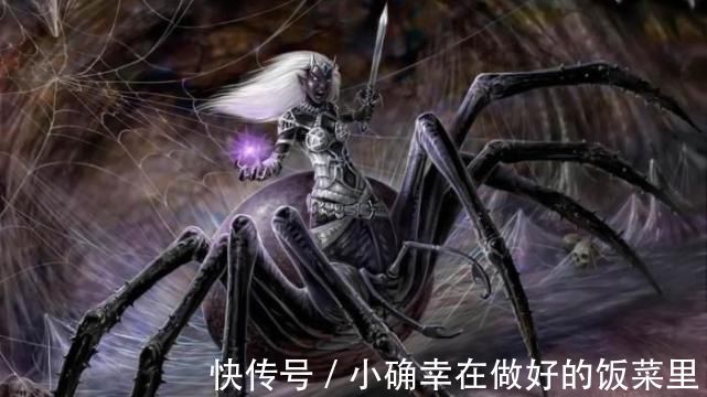 骑士|5本老书虫力荐的经典网文,看完都舍不得删,连看三遍都不腻