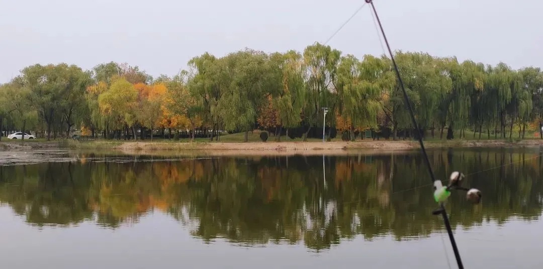 冬天莫封竿,只要选择好钓具饵料和钓法,大鲫鱼连竿上岸