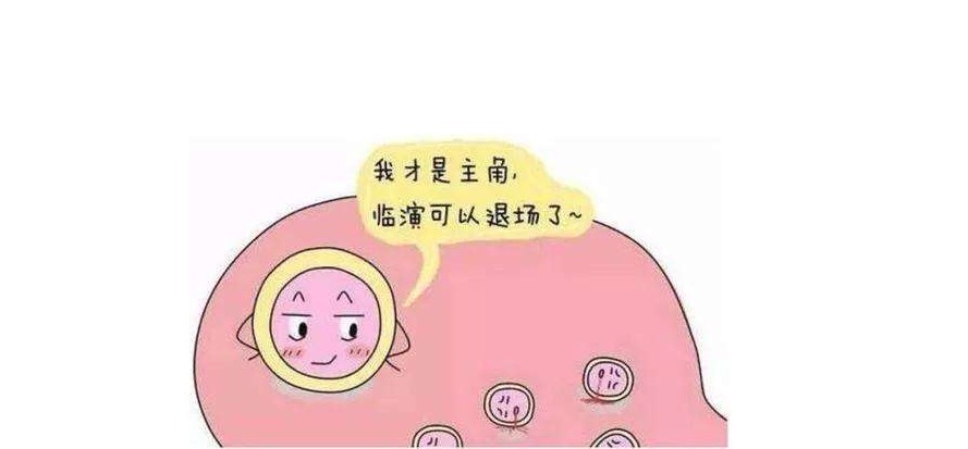 医生|监测卵泡，谁说的算呢?是医生说了吗？