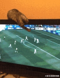 |搞笑GIF：这样的包饺机你没见过吧，包出来饺子非常匀称漂亮美观