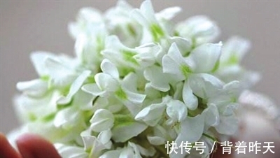 槐花|女人常吃一物,湿气没了,远离妇科炎症,子宫更健康