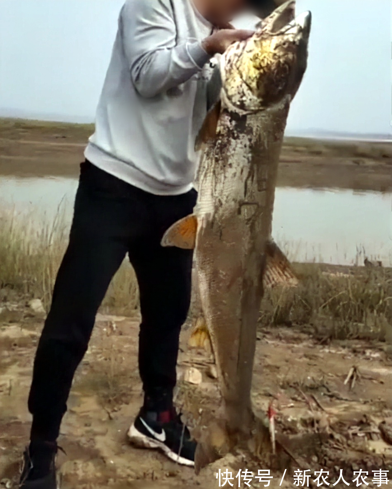 湖南一男子小河道里野钓,意外收获巨型“铜头鱼”,钓鱼人:罕见