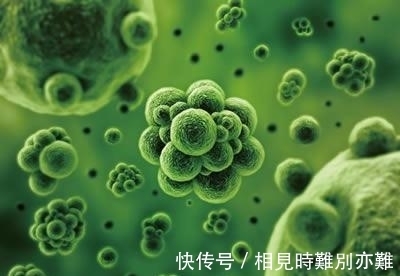 细菌|新研究发现:牛靠吃草长肌肉,所以能消化塑料,牛为什么这么牛?